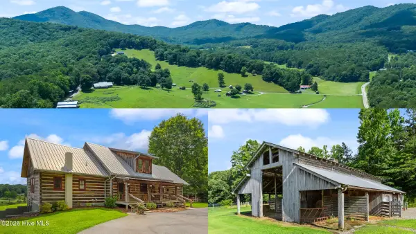 102 Cross Creek Lane, Warne, NC 28909