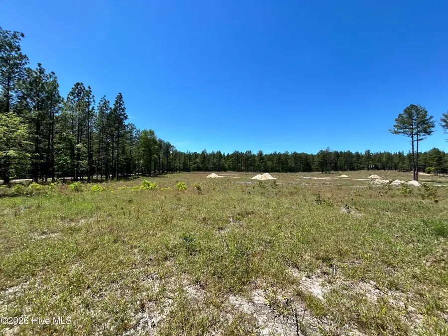 461 Lally Circle, Aberdeen, NC 28315 - #2