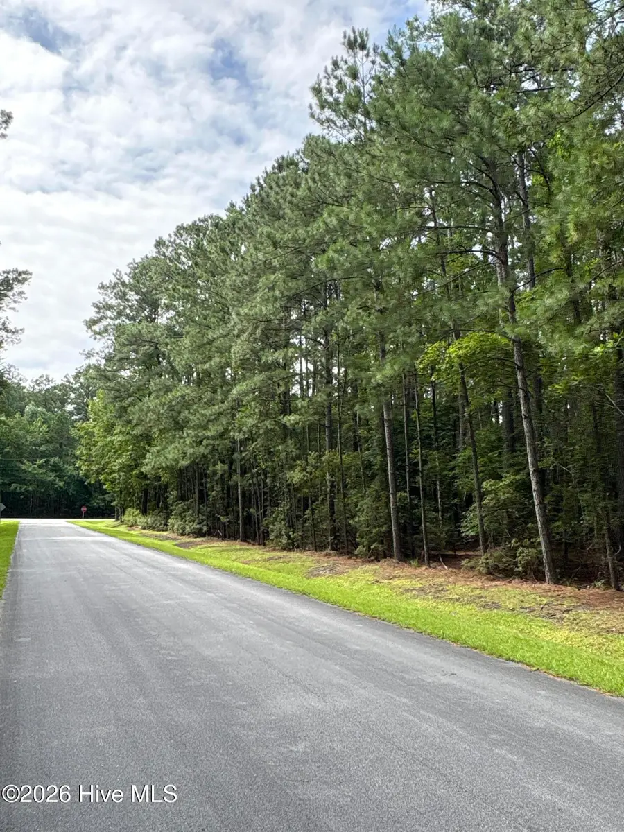 45 Headwaters Drive, Oriental, NC 28571 - #2