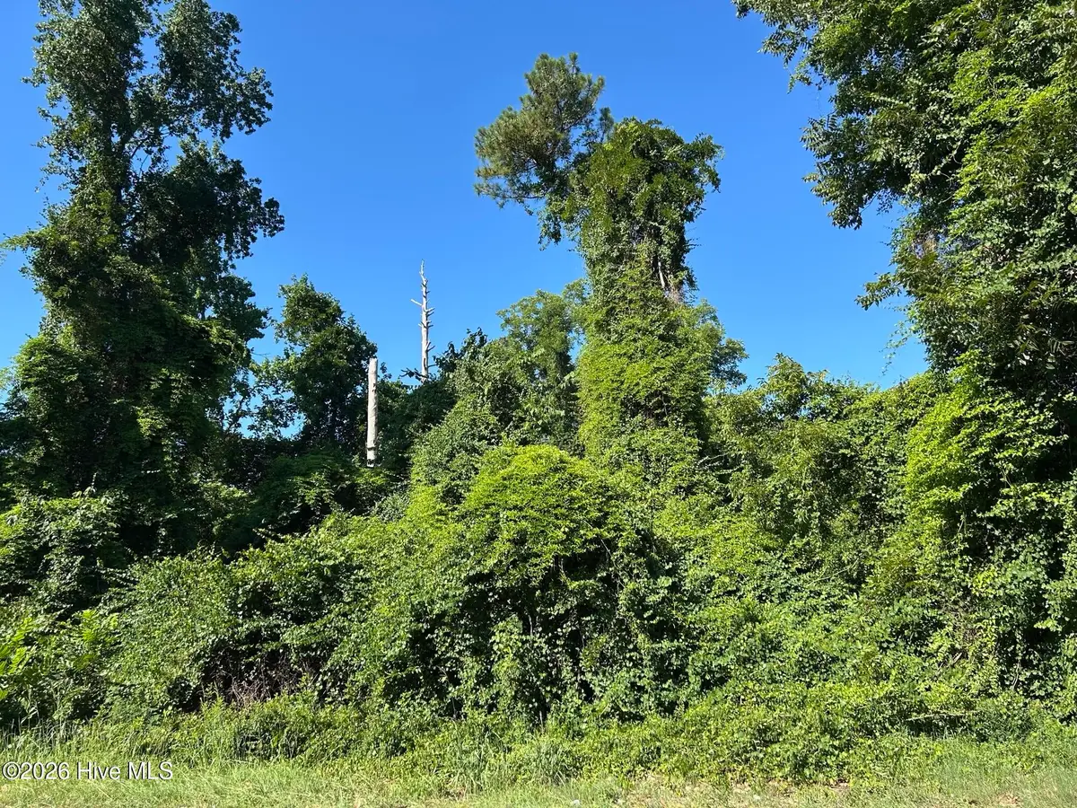 802 E Rockingham Road, Maxton, NC 28364 - #1