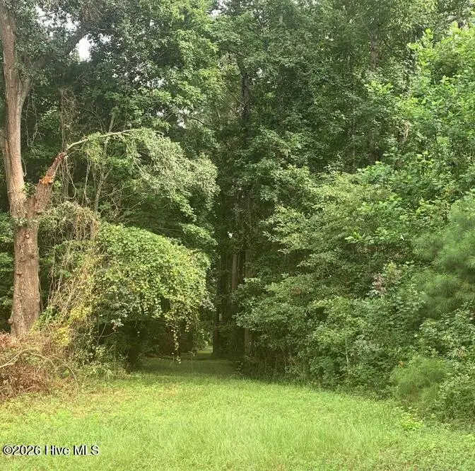28.53 Ac Old Sanders Drive, North Myrtle Beach, SC 29582 - #3