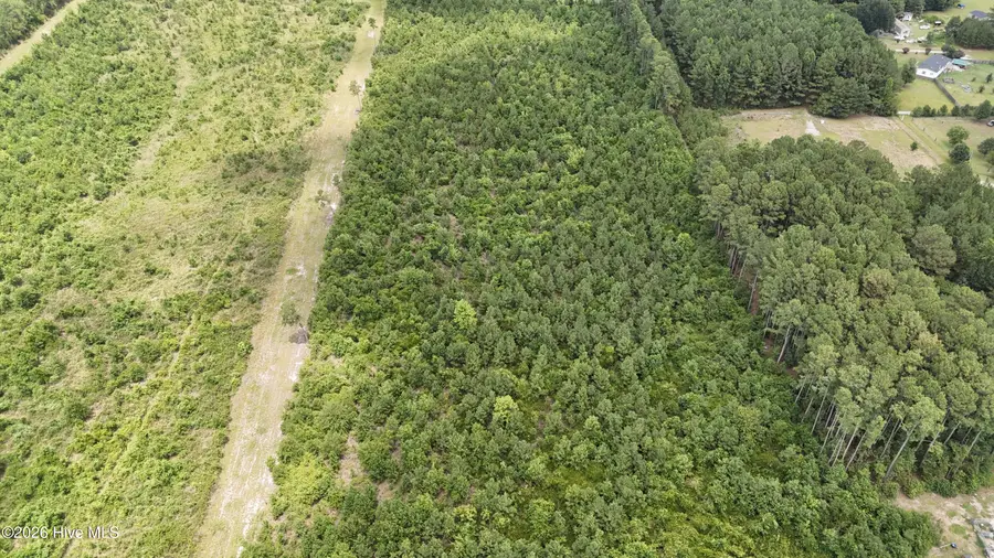 0000 Eric Sparrow Road, Deep Run, NC 28525 - #3