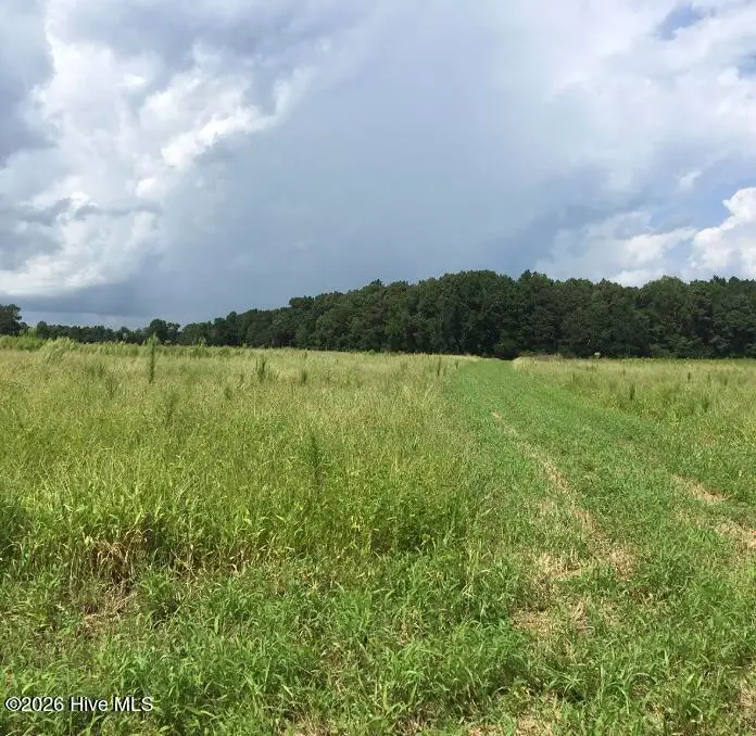 30.42 Ac Atlantic Breeze Drive, North Myrtle Beach, SC 29582 - #1