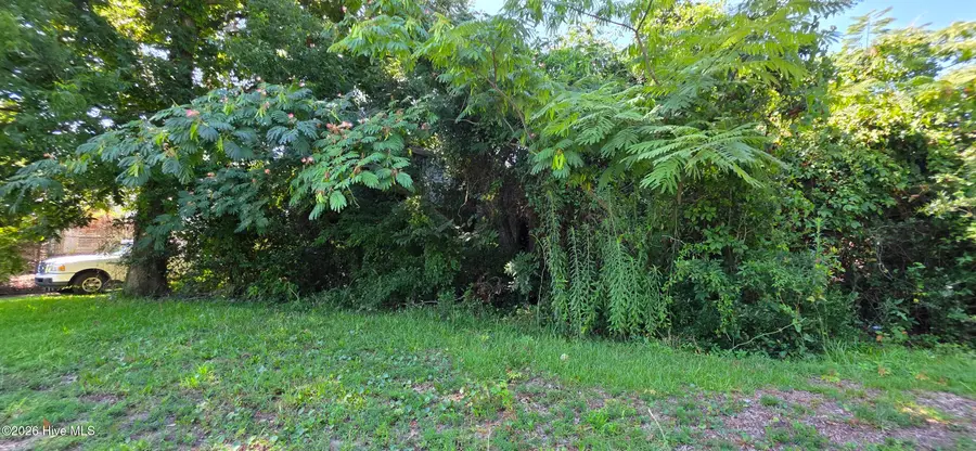 1310 1/2 Bridges Street, Morehead City, NC 28557 - #2
