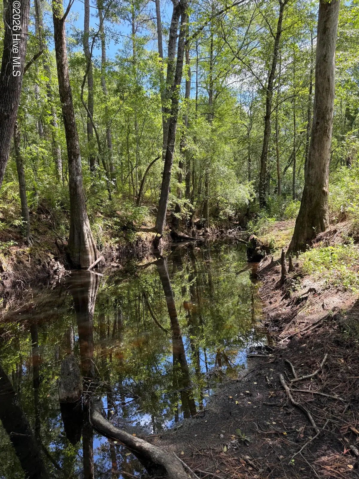 532 Old Hoover Bridge Road, Elizabethtown, NC 28337 - #1