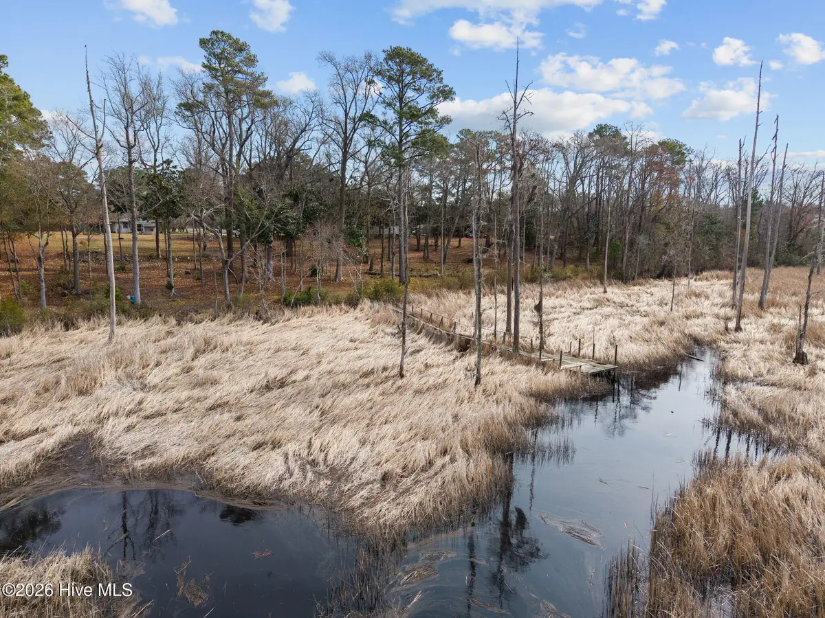 1405 Ness Drive, Castle Hayne, NC 28429 - #1