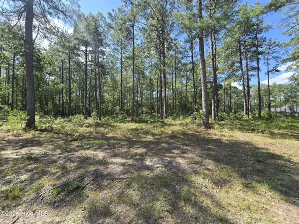 Tbd Peach Orchard Road, Wagram, NC 28396