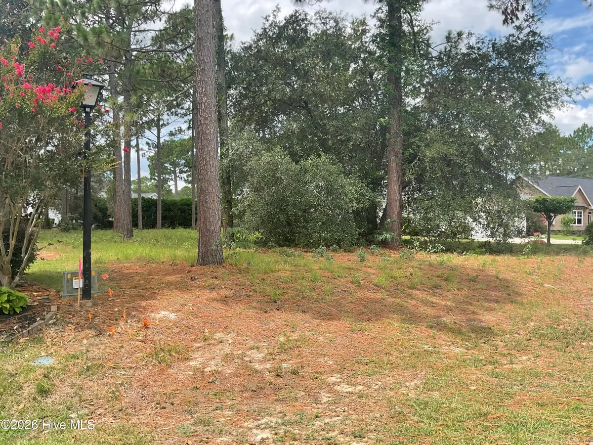 205 Planters Ridge Drive, Sunset Beach, NC 28468 - #1
