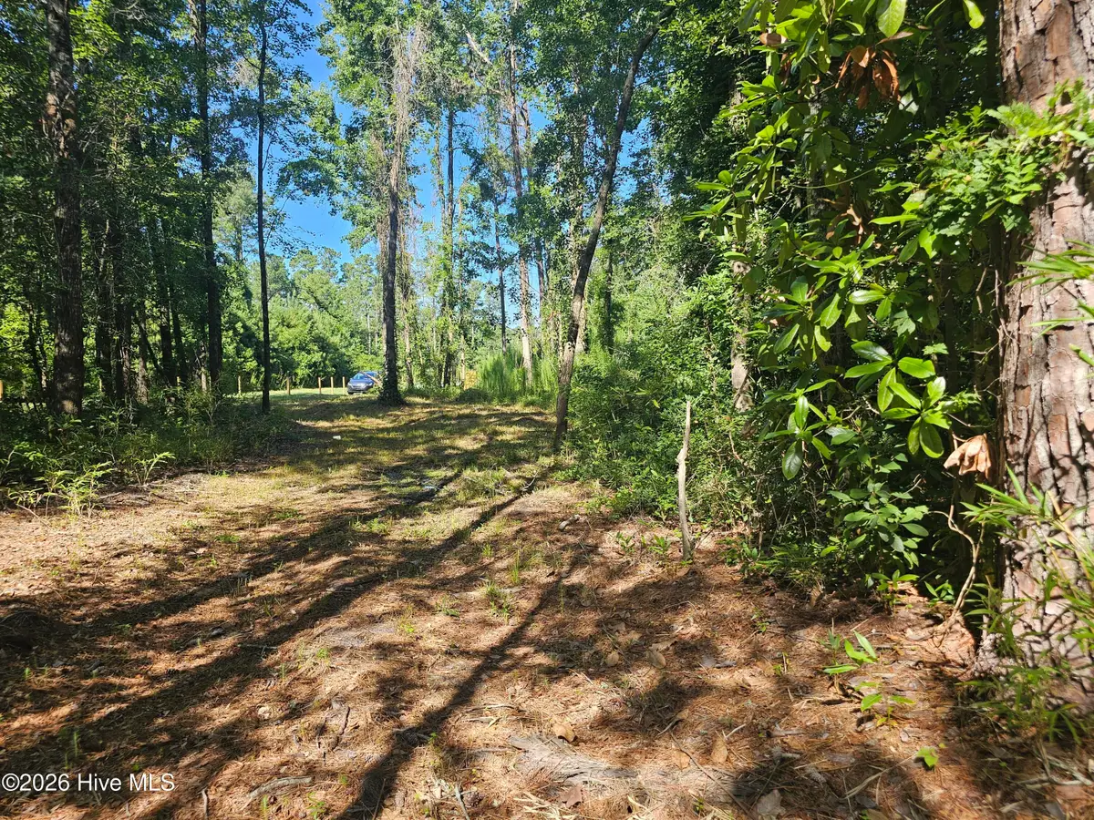 4278 Us 117 Highway S, Burgaw, NC 28425 - #1