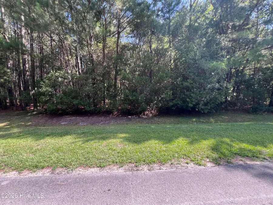 42 Windy Point, Belhaven, NC 27810 - #3