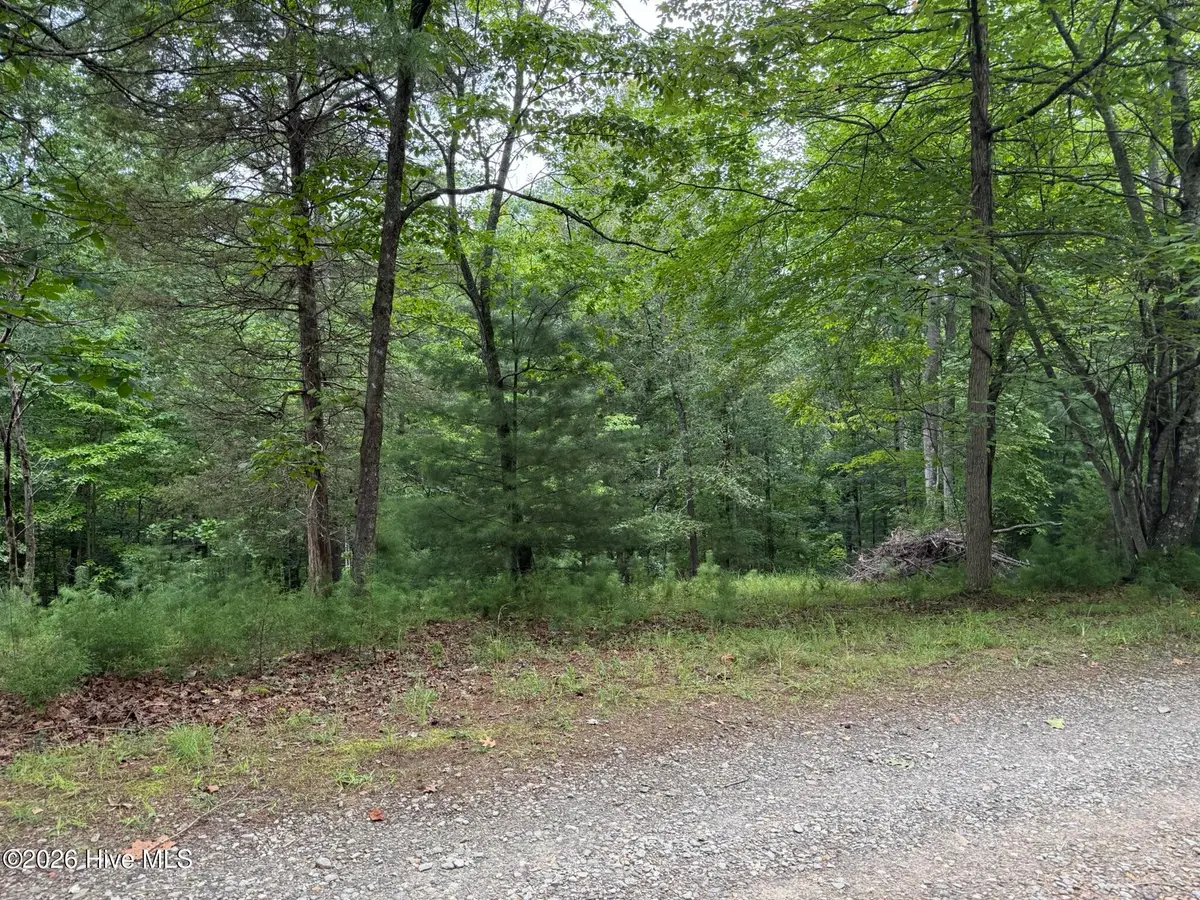 Address Withheld By Seller, Murphy, NC 28906 - #1