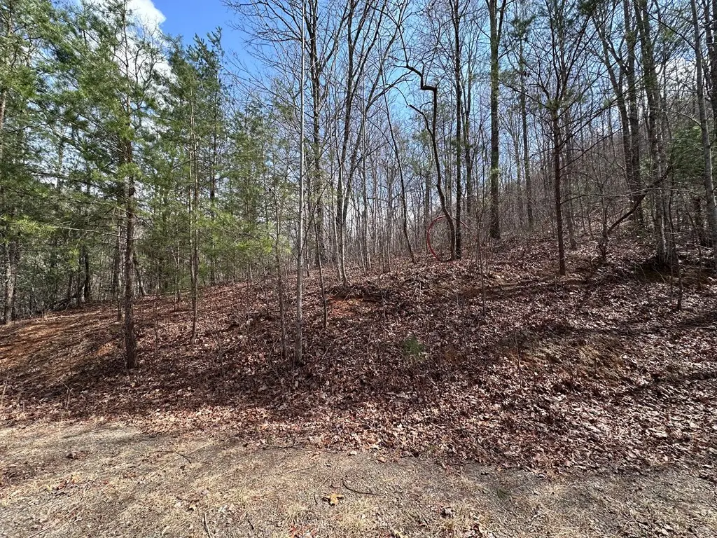 Tbd Pack Mountain Road, Murphy, NC 28906 - #1