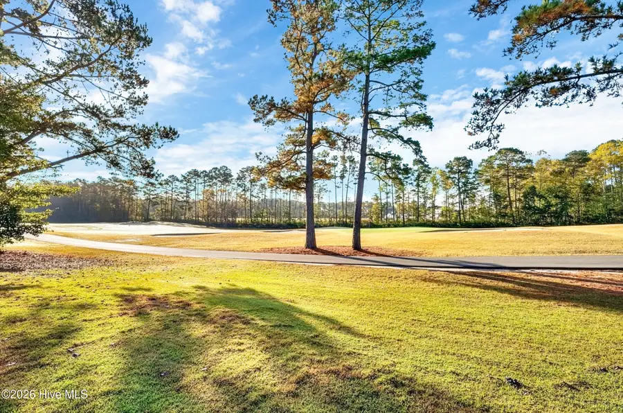 707 Royal Fern Court Nw, Calabash, NC 28467 - #3