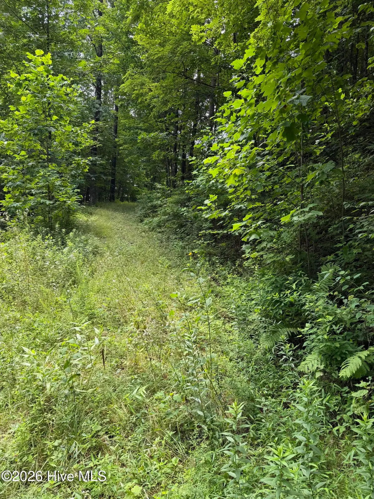 Lot 4 Outlook Road, Murphy, NC 28906 - #1