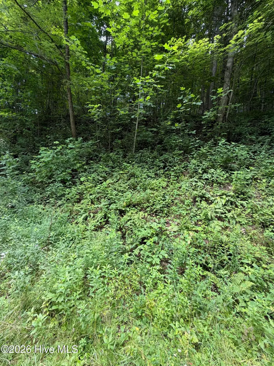 Lot 4 Outlook Road, Murphy, NC 28906 - #3