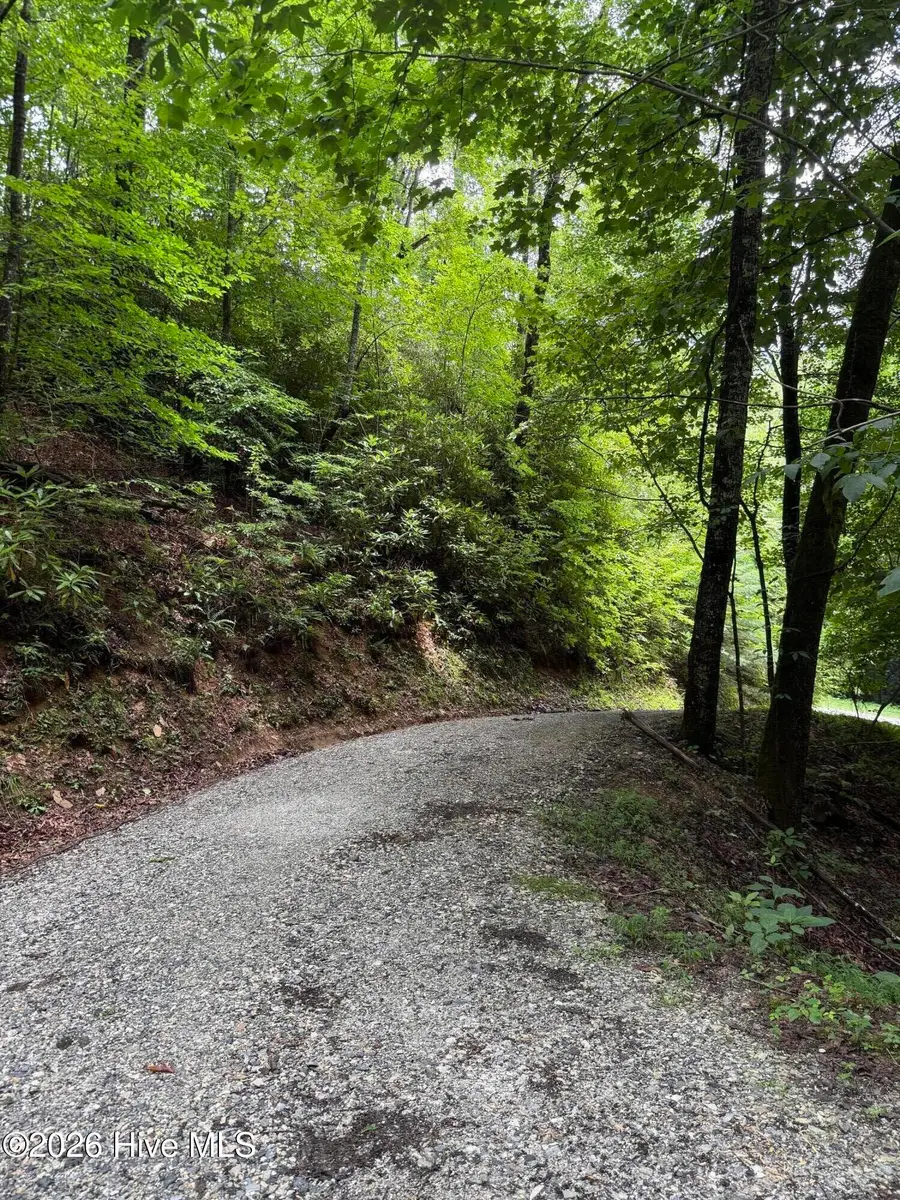 Lot 8 Vista Loop Road Road, Topton, NC 28781 - #2