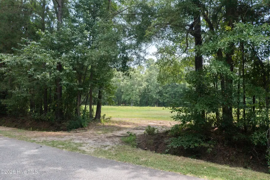1416 Wheeler Street, Whiteville, NC 28472 - #3