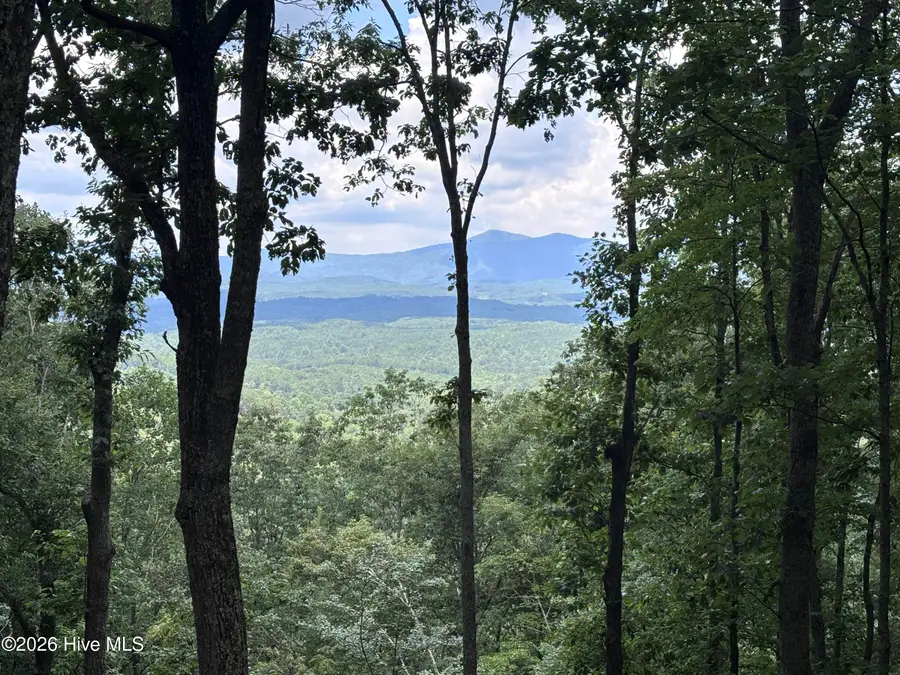 Lot 169 Wilderness Creek Way, Murphy, NC 28906 - #3