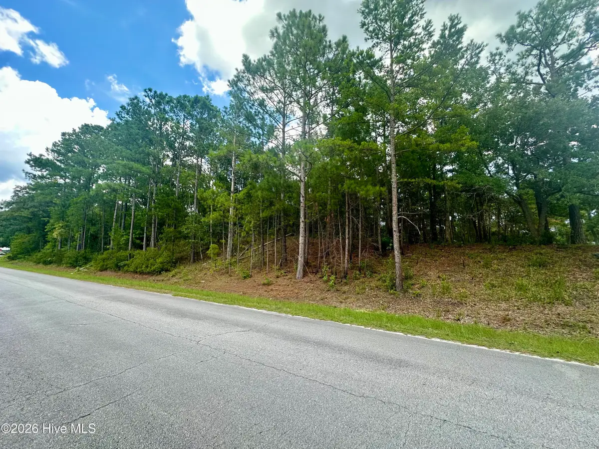 Tbd Wetherington Landing Road, Stella, NC 28582 - #1