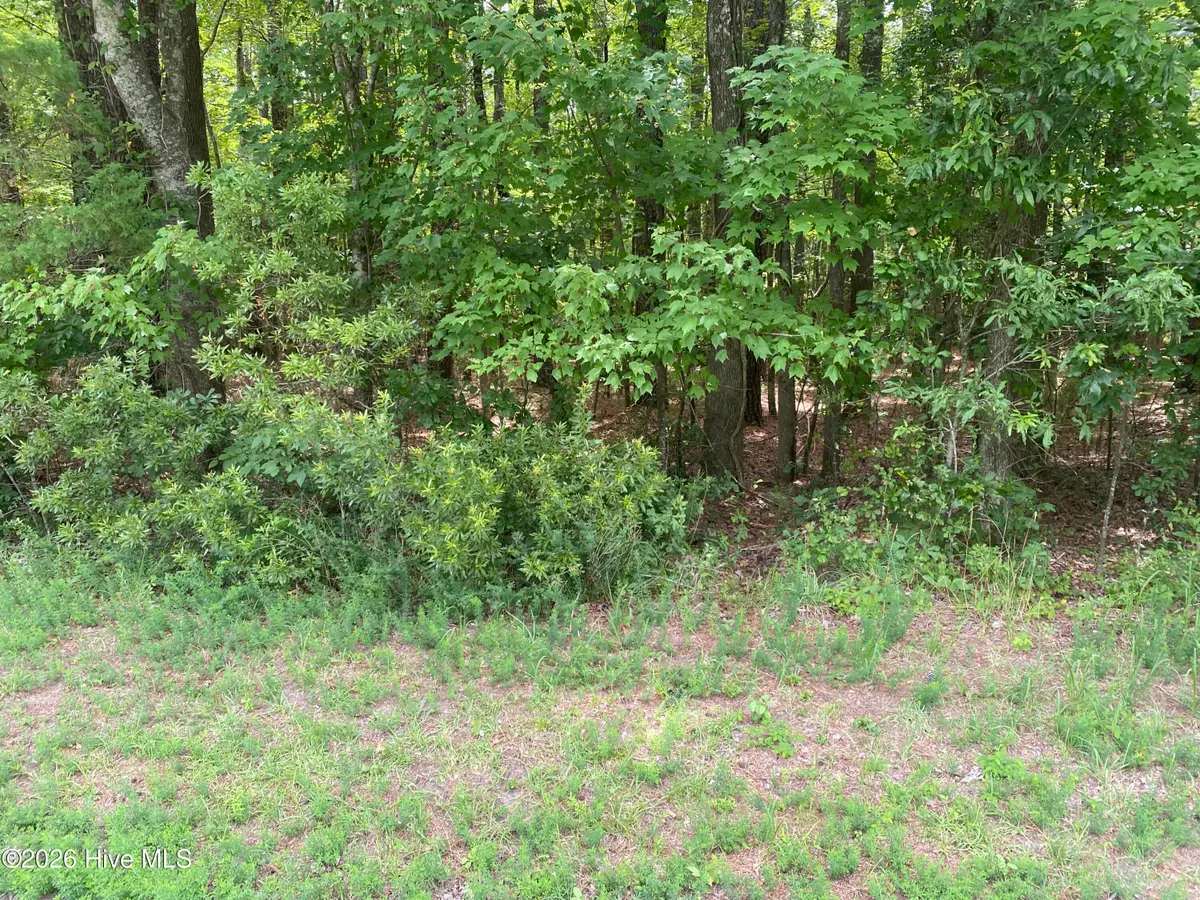 Lot 20 Hollis Drive, Blounts Creek, NC 27814 - #1
