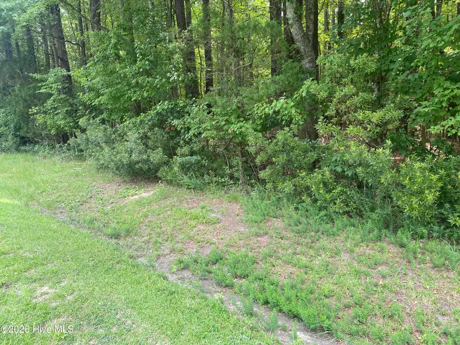 Lot 20 Hollis Drive, Blounts Creek, NC 27814 - #2
