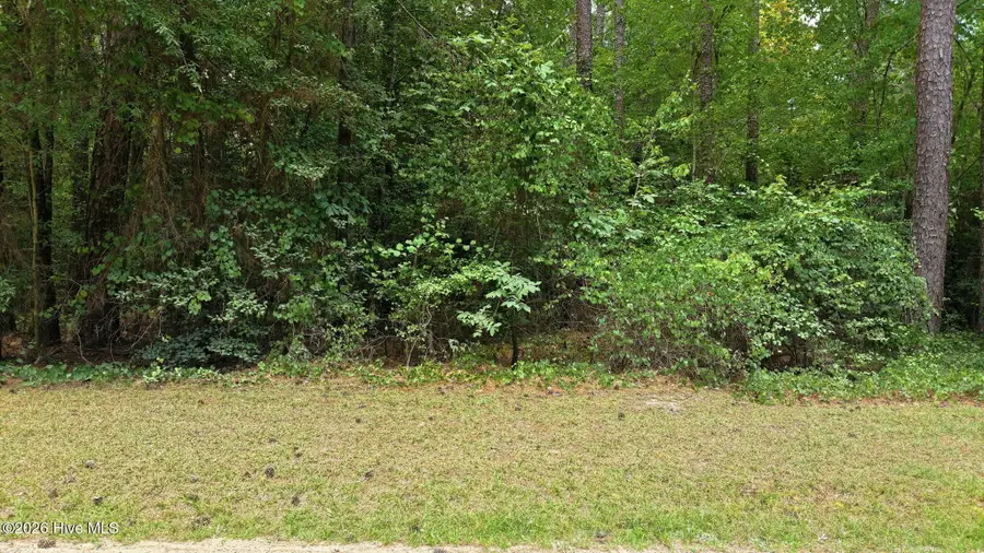 109 Equestrian Lane, Carthage, NC 28327 - #2