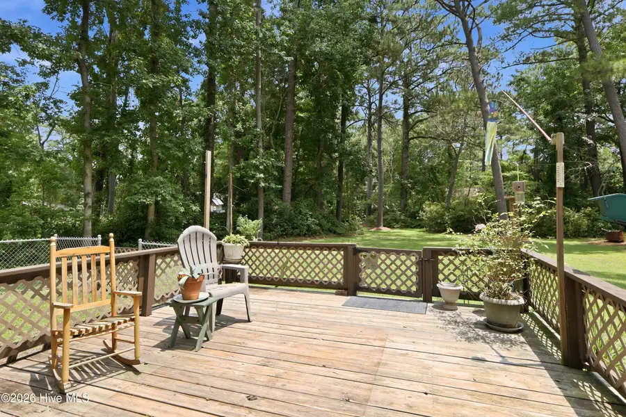 704 Meadow Court, Morehead City, NC 28557 - #3