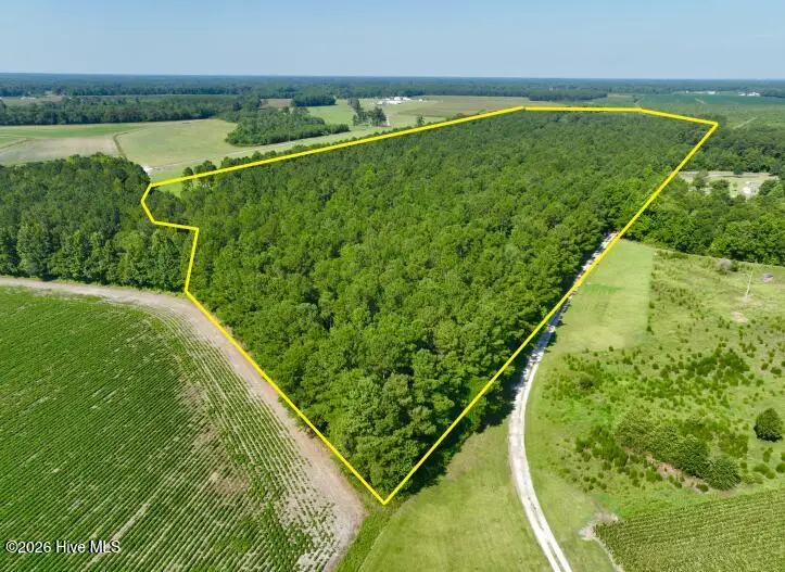 0 Cedar Fork Road, Beulaville, NC 28518 - #1
