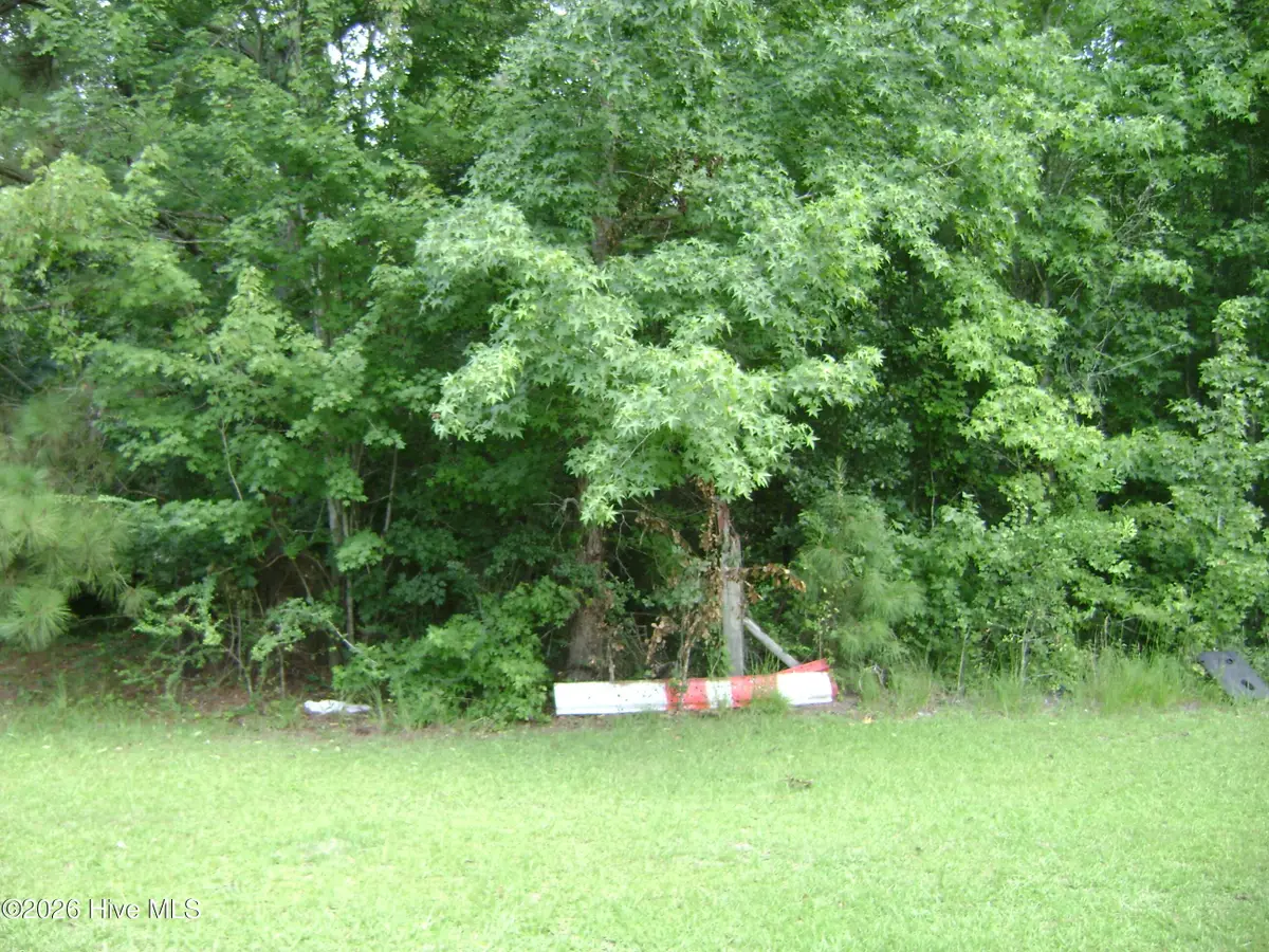 8.3 Glory Light Road, Fairmont, NC 28340 - #1