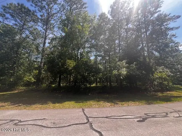 907 Hurricane Court, New Bern, NC 28560 - #1