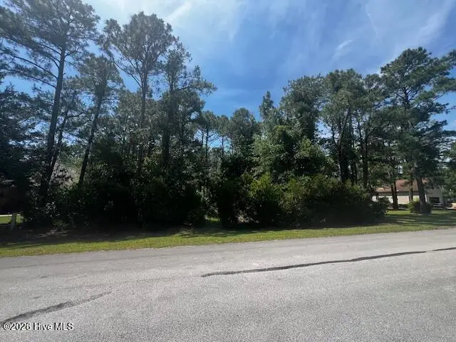908 Point Court, New Bern, NC 28560 - #1