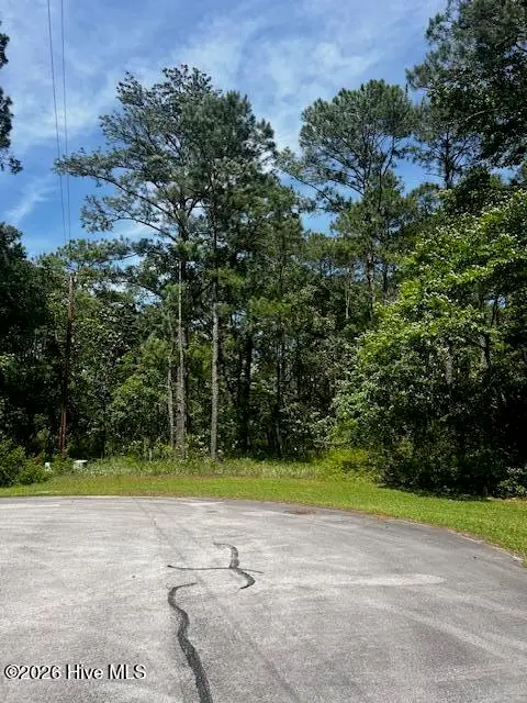 712 Swashbuckle Court, New Bern, NC 28560 - #1