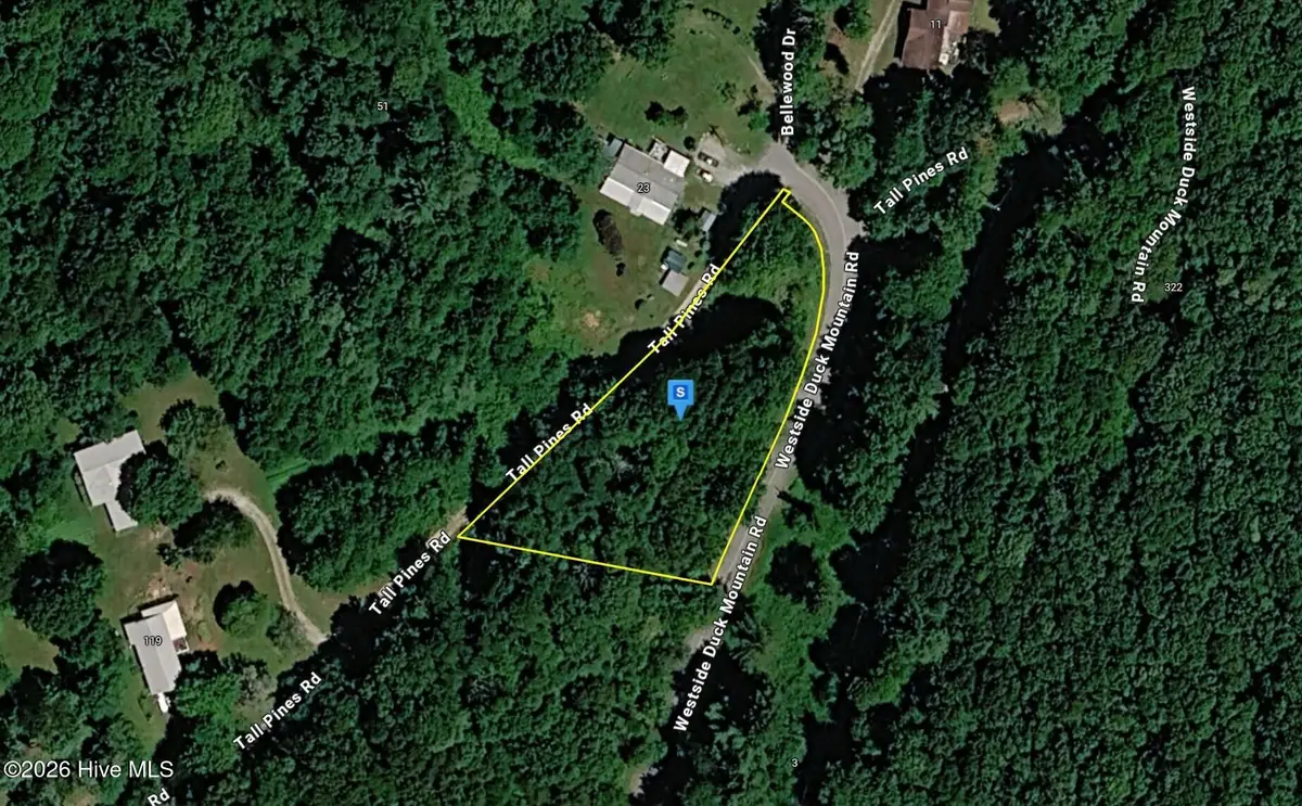 20 Tall Pines Road, Valley Hill, NC 23851 - #1
