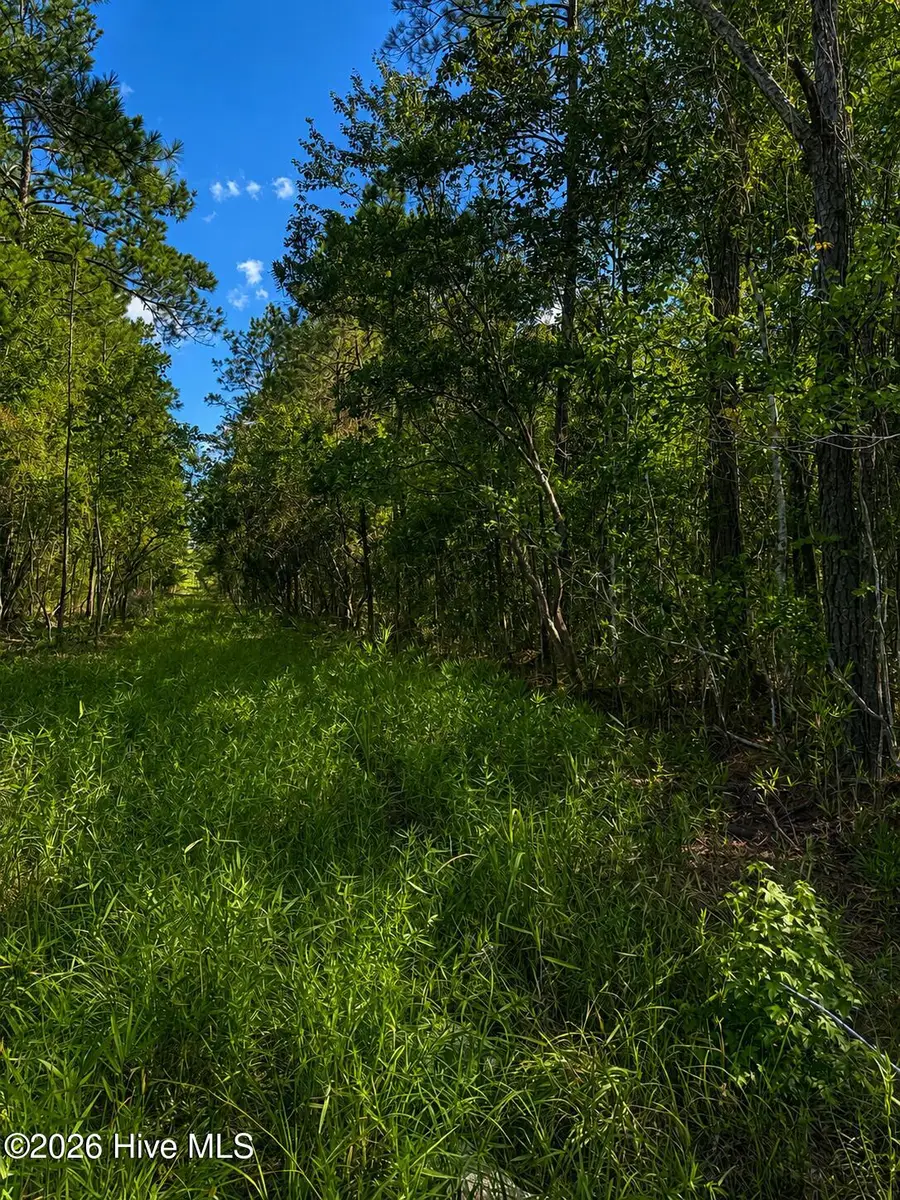 Tbd S Goldfinch Place Se, Southport, NC 28461 - #2