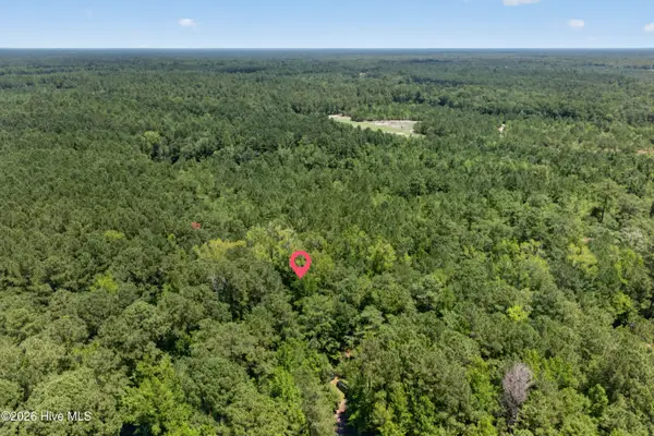 540 Copperhead Lane, Burgaw, NC 28425