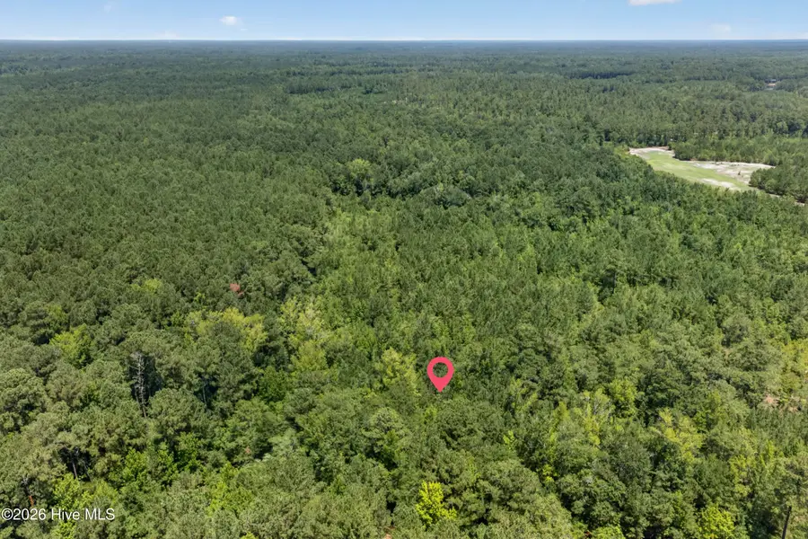 540 Copperhead Lane, Burgaw, NC 28425 - #2