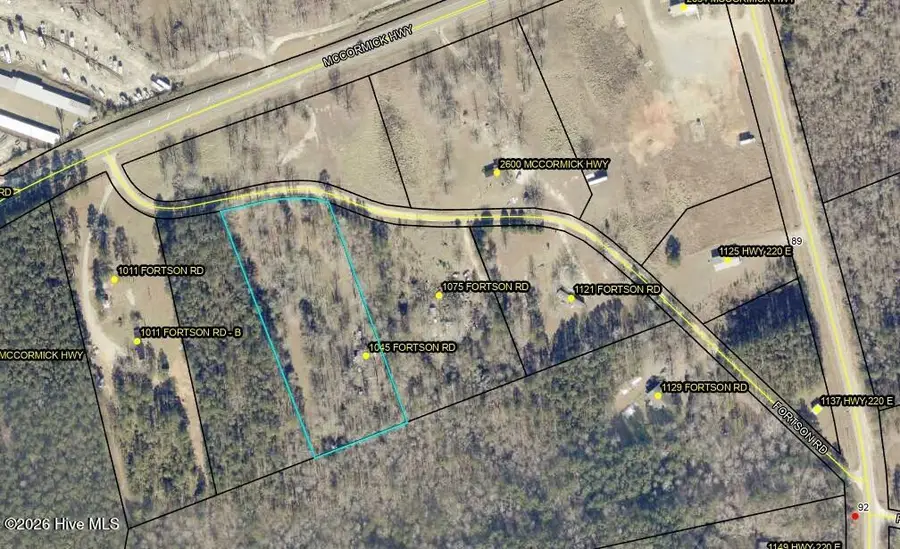 1045 Fortson Road, Lincolnton, GA 30817 - #3