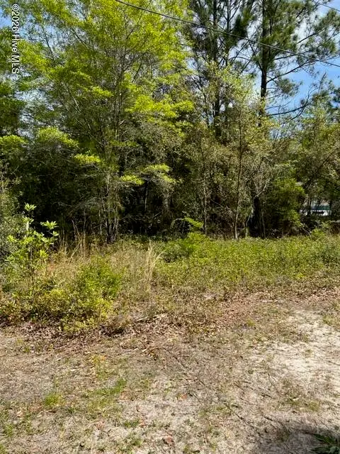1774 Balsam Drive Sw, Supply, NC 28462