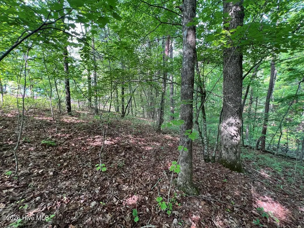 Lot 1 Leonard Lane, Murphy, NC 28906 - #1