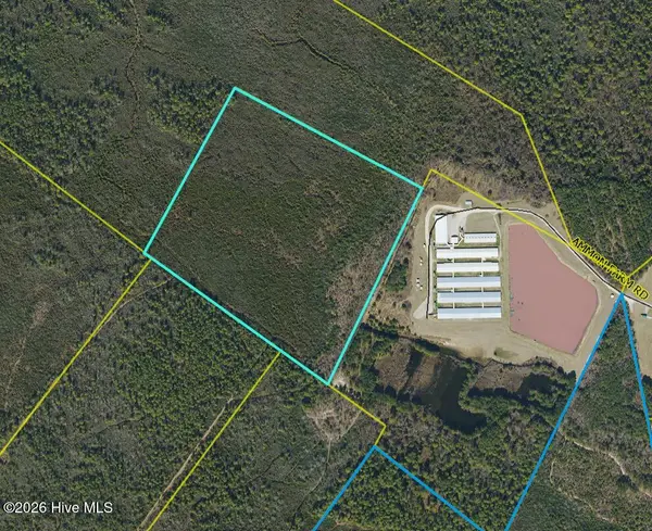 44 Acres Nance-coble Tract Road, Garland, NC 28441