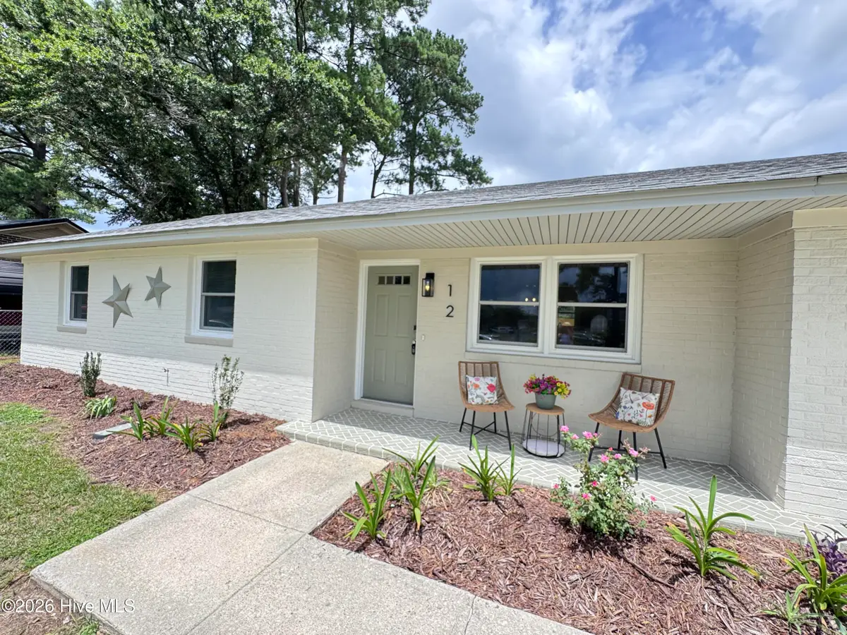 12 Diamond Drive, Castle Hayne, NC 28429 - #1