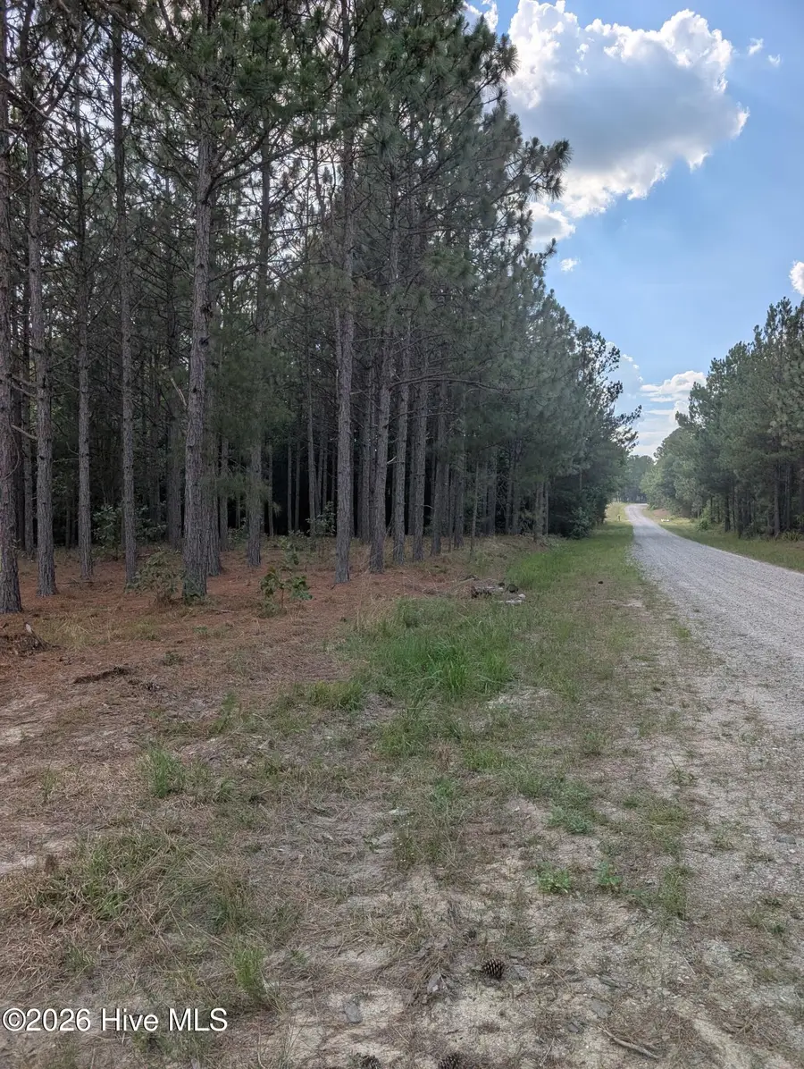 270 Charles Road, Eagle Springs, NC 27242 - #3