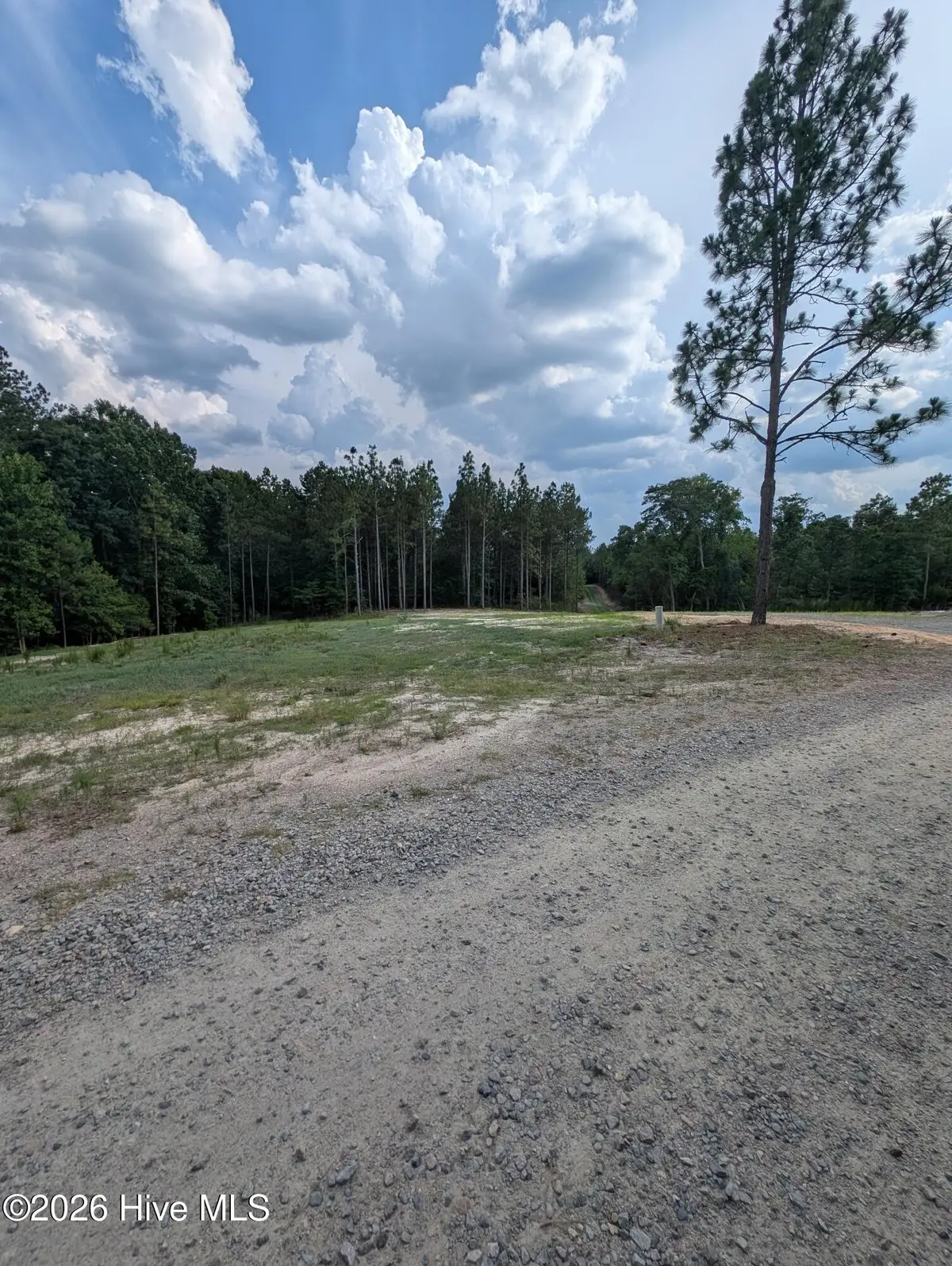 274 Charles Road, Eagle Springs, NC 27242 - #1