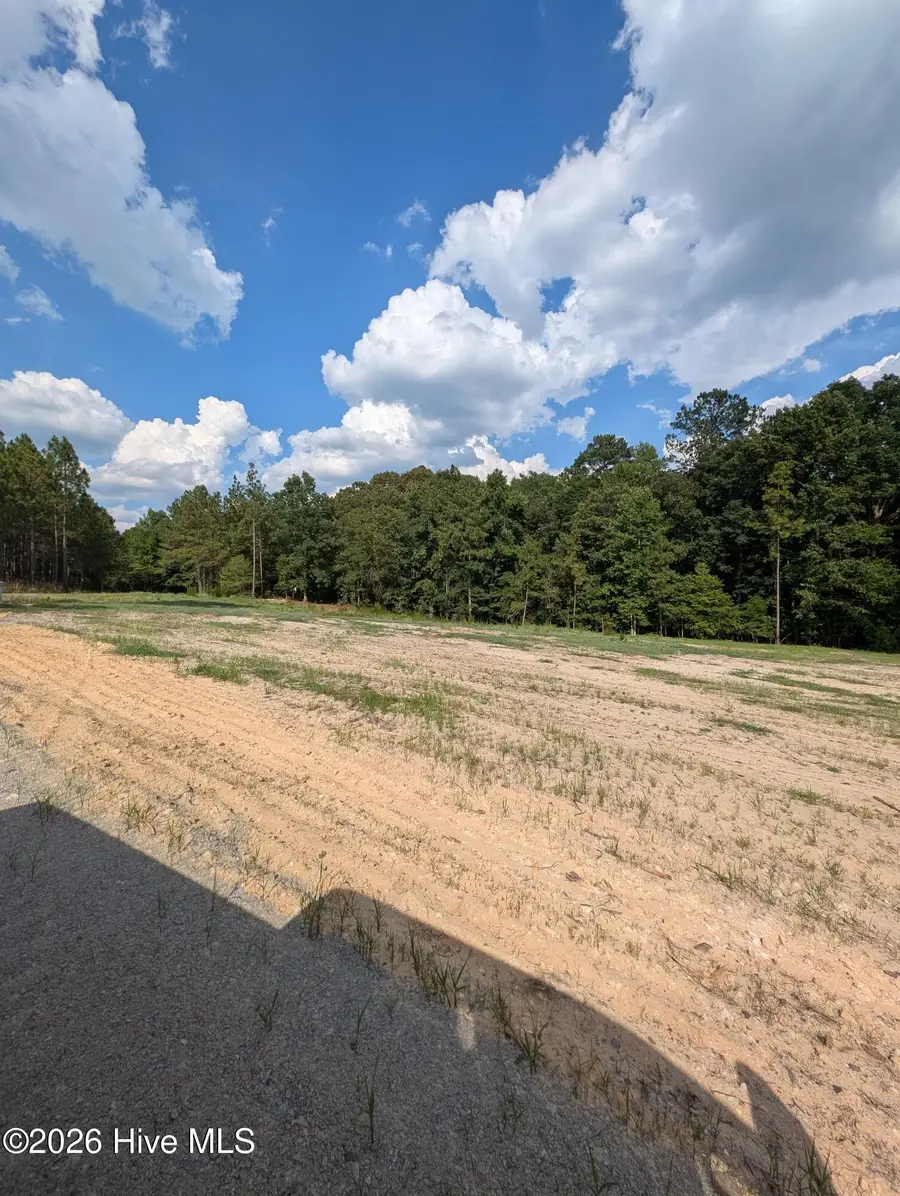 274 Charles Road, Eagle Springs, NC 27242 - #3