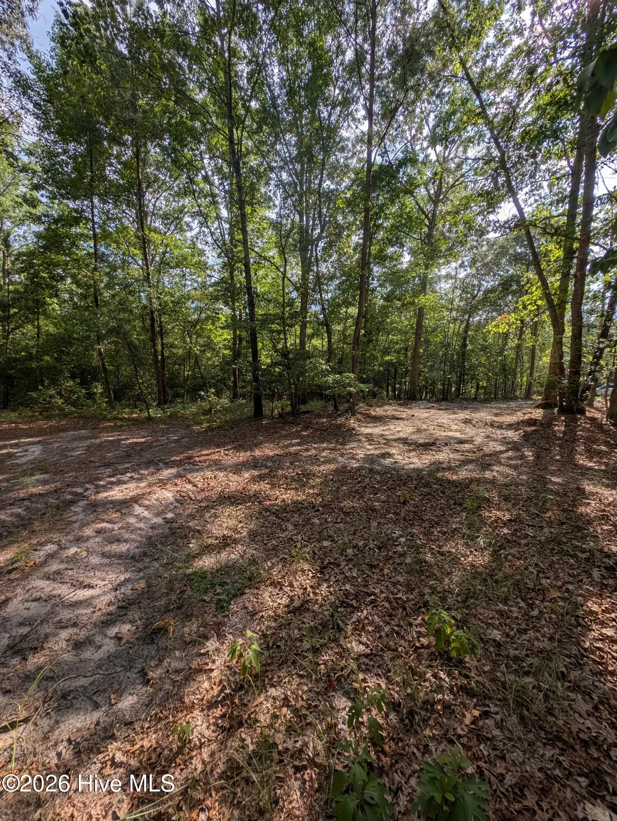 Tbd Peyton Drive, Eagle Springs, NC 27242 - #1