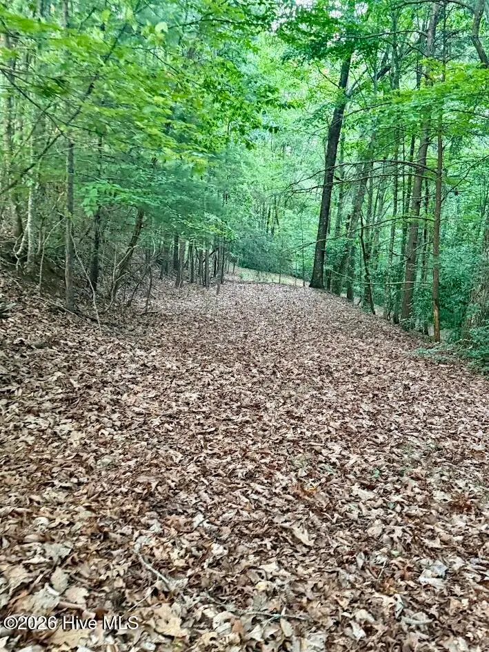 Tbd Lot 43 Pine Cove Lane, Murphy, NC 28906 - #1