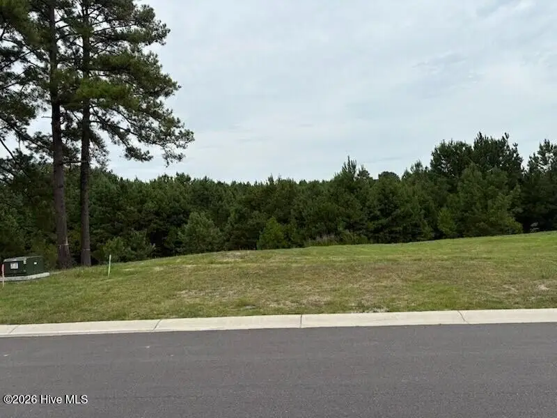 976 Montclair Place Sw, Sunset Beach, NC 28468 - #2