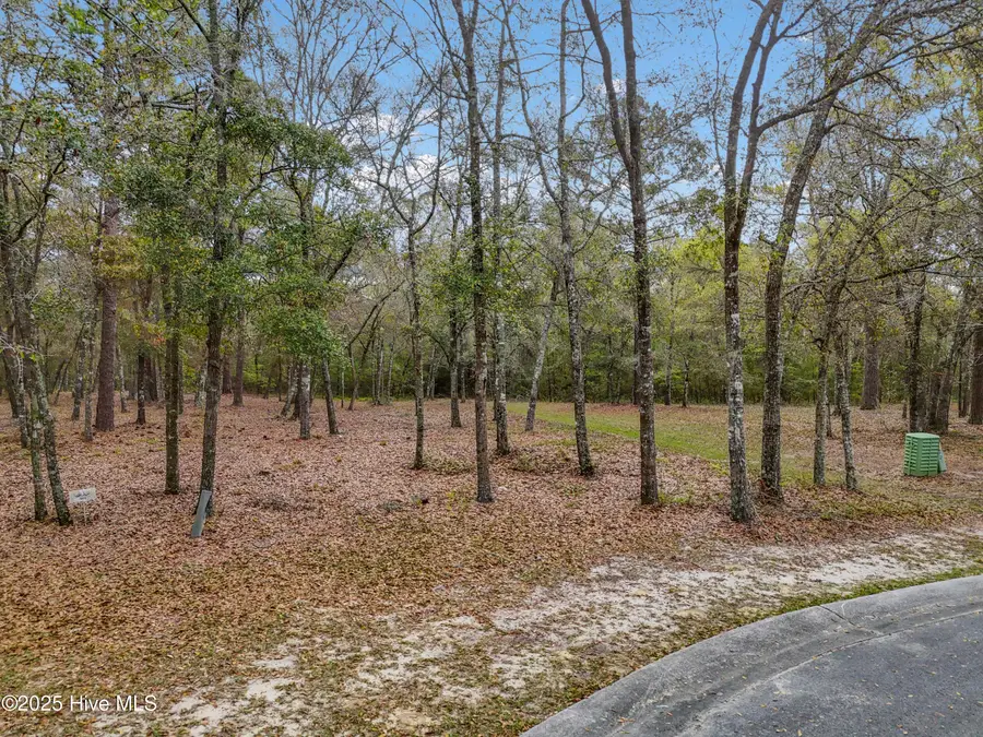 584 Asphodel Drive Sw, Supply, NC 28462 - #2