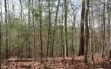 Lot 7 Lady Lane W, Murphy, NC 28906 - #1