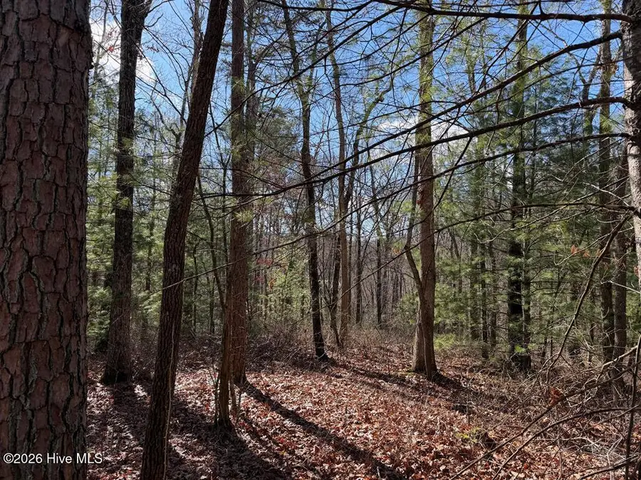 Lot 20 Yellow Maple Lane, Murphy, NC 28906 - #2